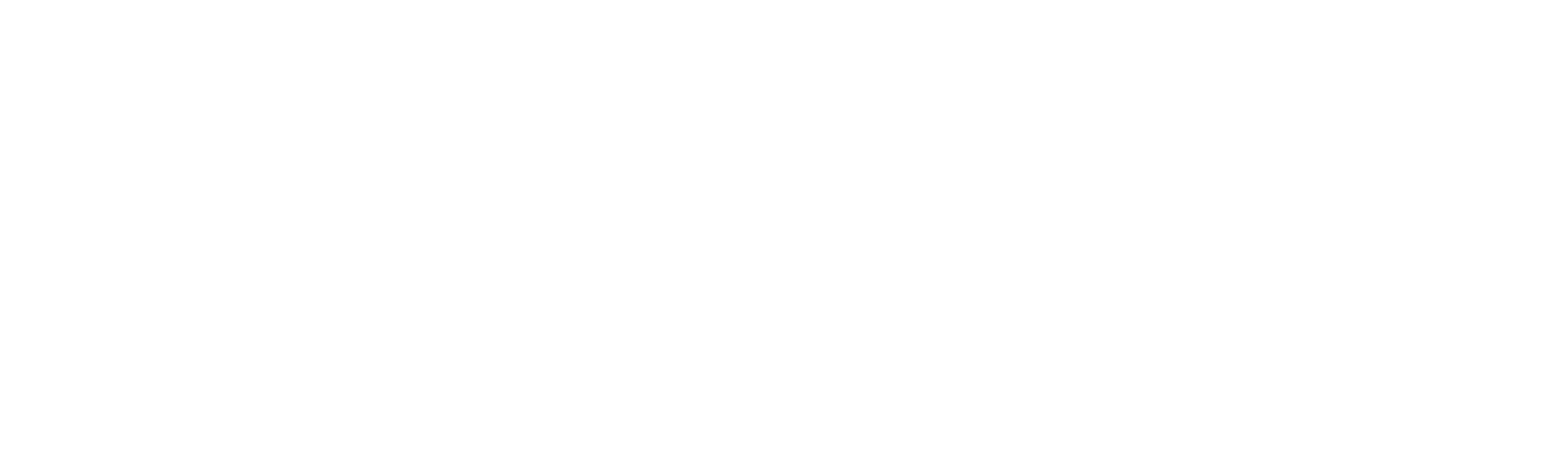 Prosperity Connection Logo in White